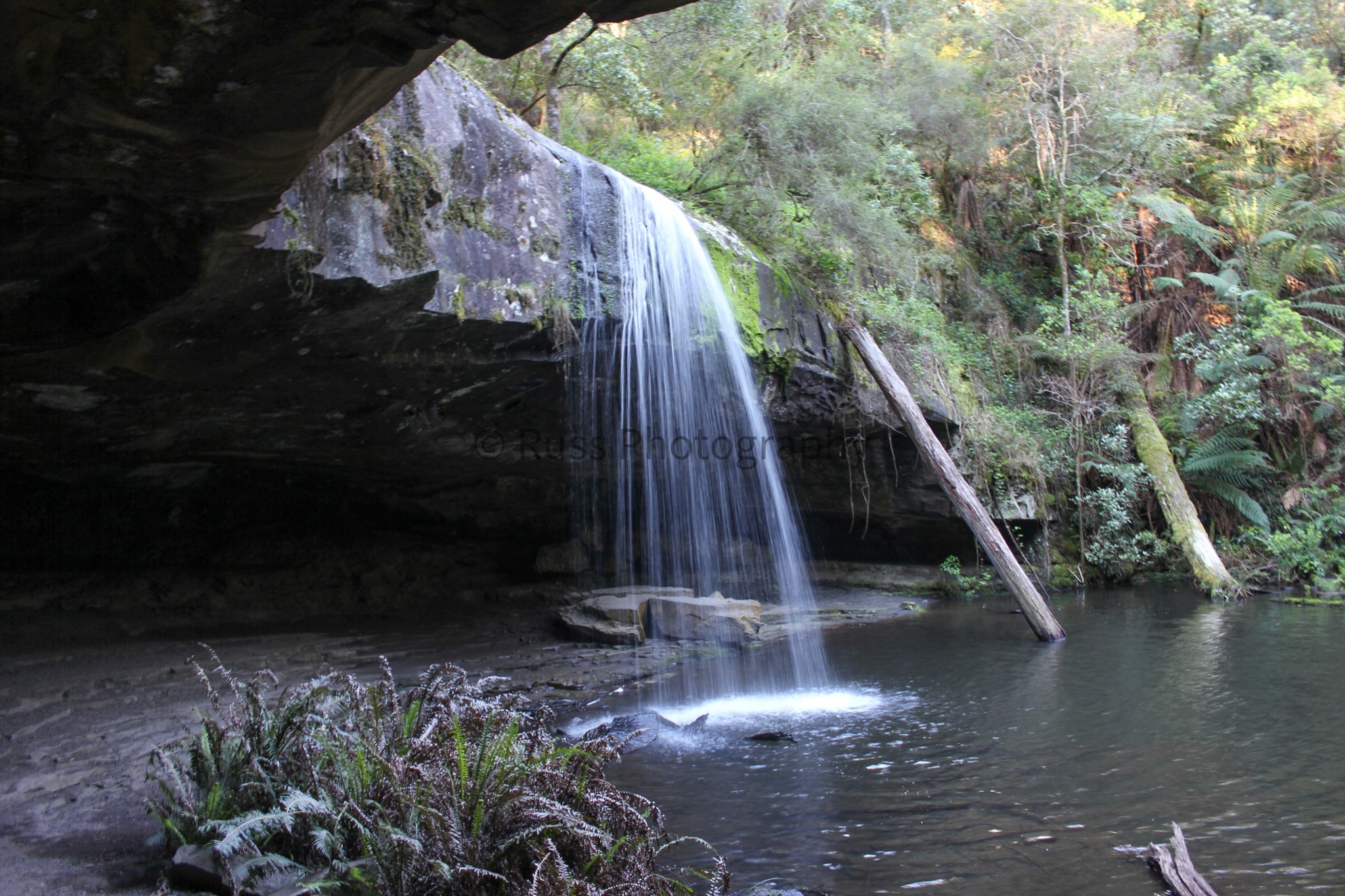 Otways, Victoria