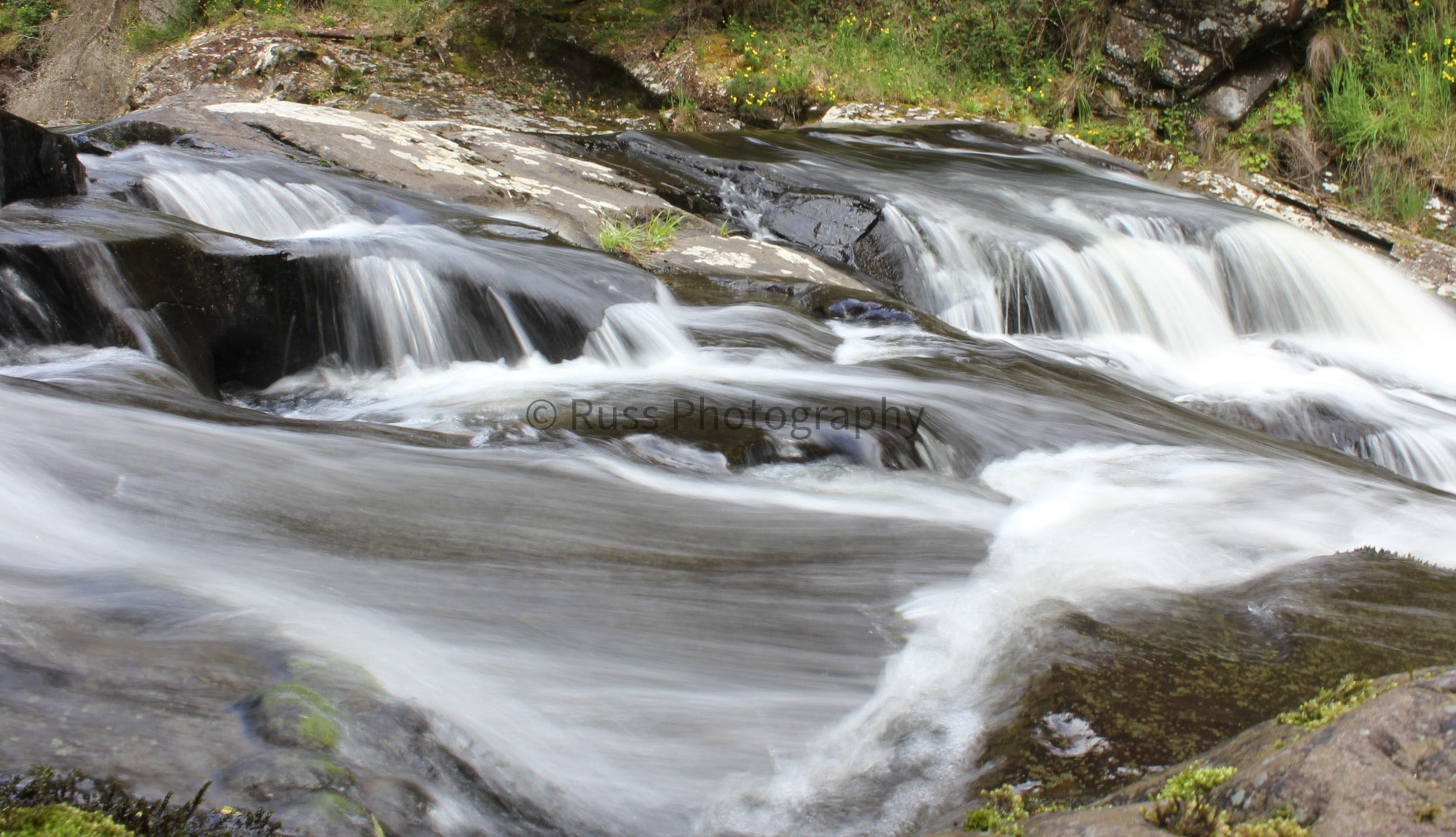 Otway National Park, Victoria.