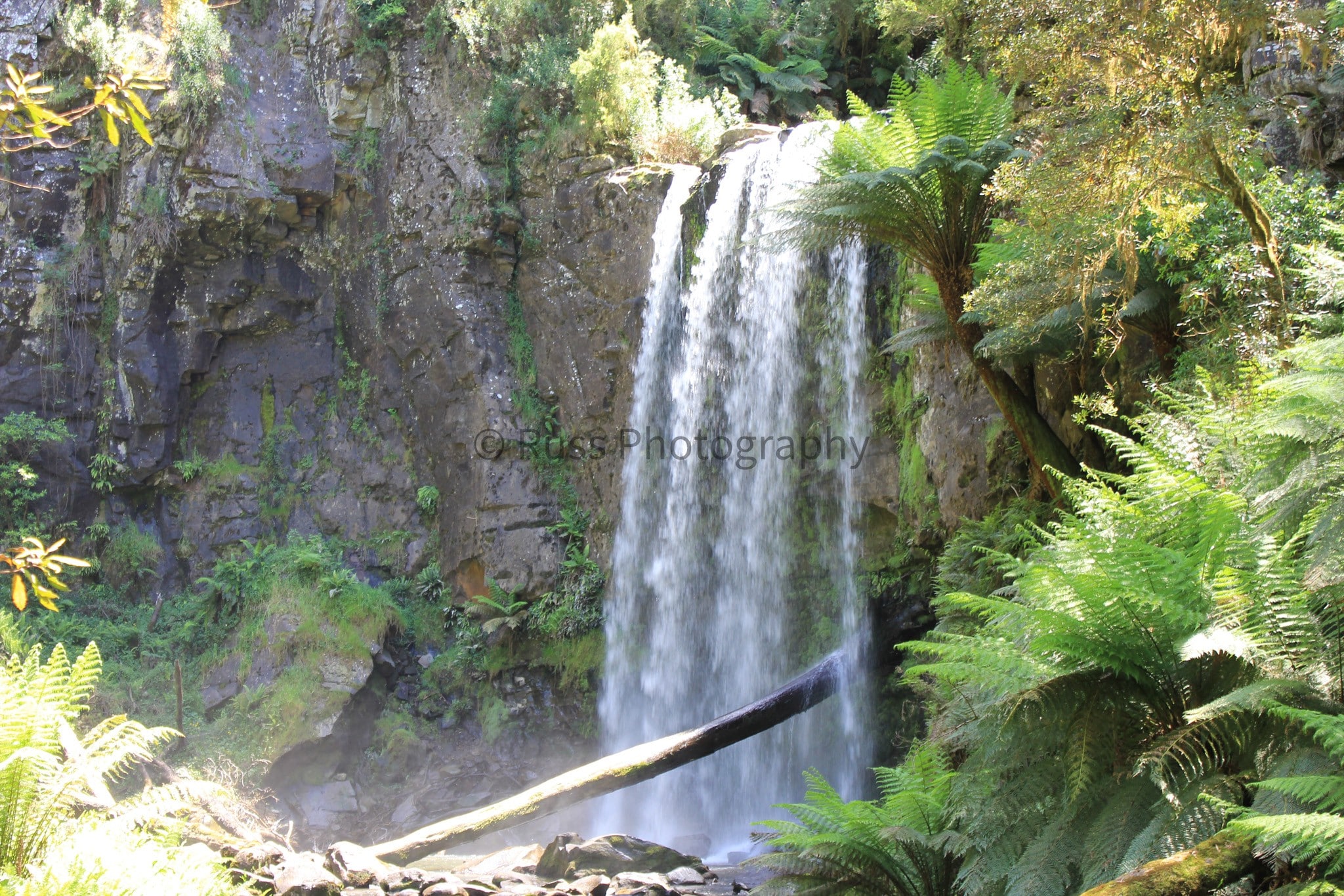 Otway National Park, Victoria